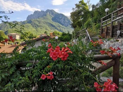 Agriturismo La Calamaia Gorfigliano ภายนอก รูปภาพ